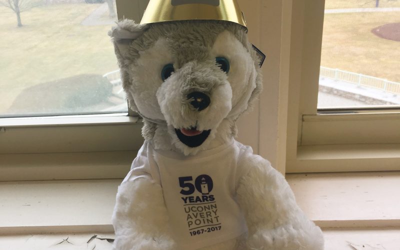 50th celebration stuffed husky